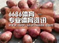 产品展示标题5(图1)
