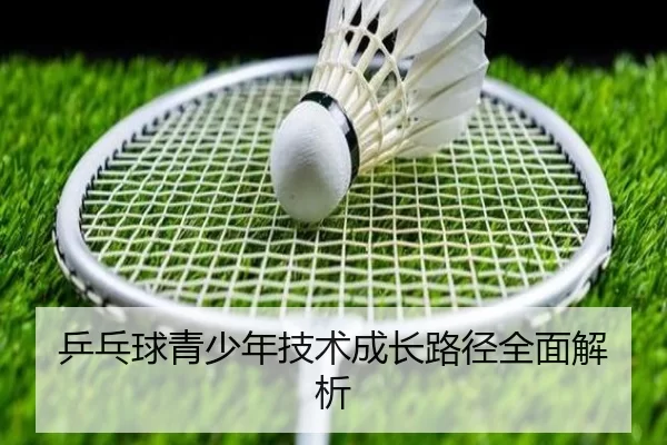 img_1780585335484_155_3_313.jpg